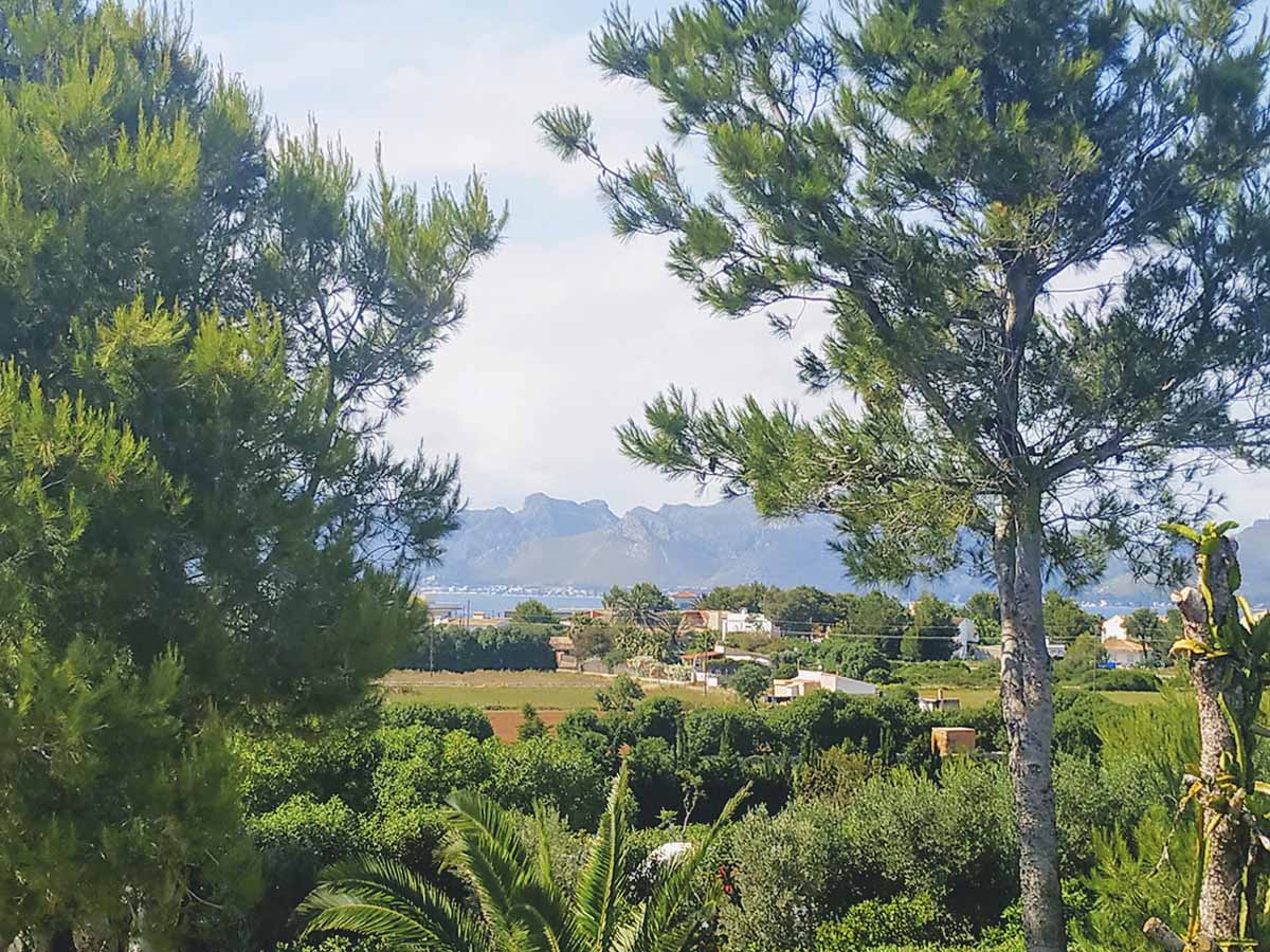 Finca Casa Xilindro Mallorca Urlaub